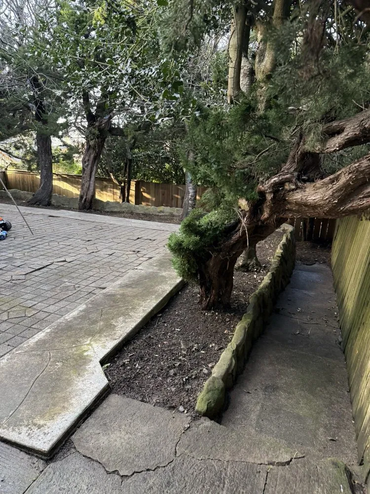 Local residential landscaping with custom design across Daly City, CA - Nosso Larr Hauling