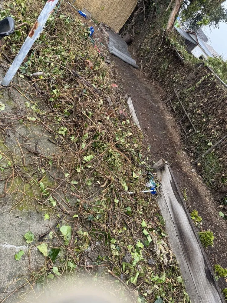 Reliable garden landscaping for residential properties in Daly City, CA by Nosso Larr Hauling