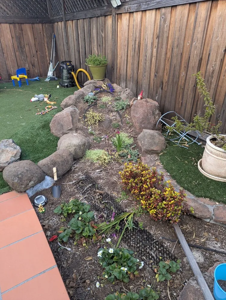 Expert yard maintenance near you in Daly City, CA by Nosso Larr Hauling