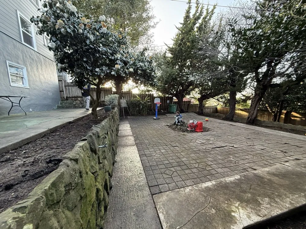 Reliable yard cleanup service experts serving Daly City, CA - Nosso Larr Hauling