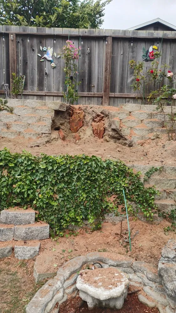 Local yard maintenance experts serving Daly City, CA - Nosso Larr Hauling