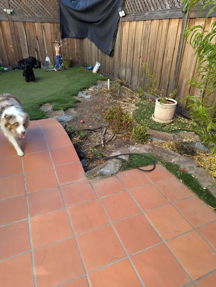 Expert landscape installation in Daly City, CA - Nosso Larr Hauling