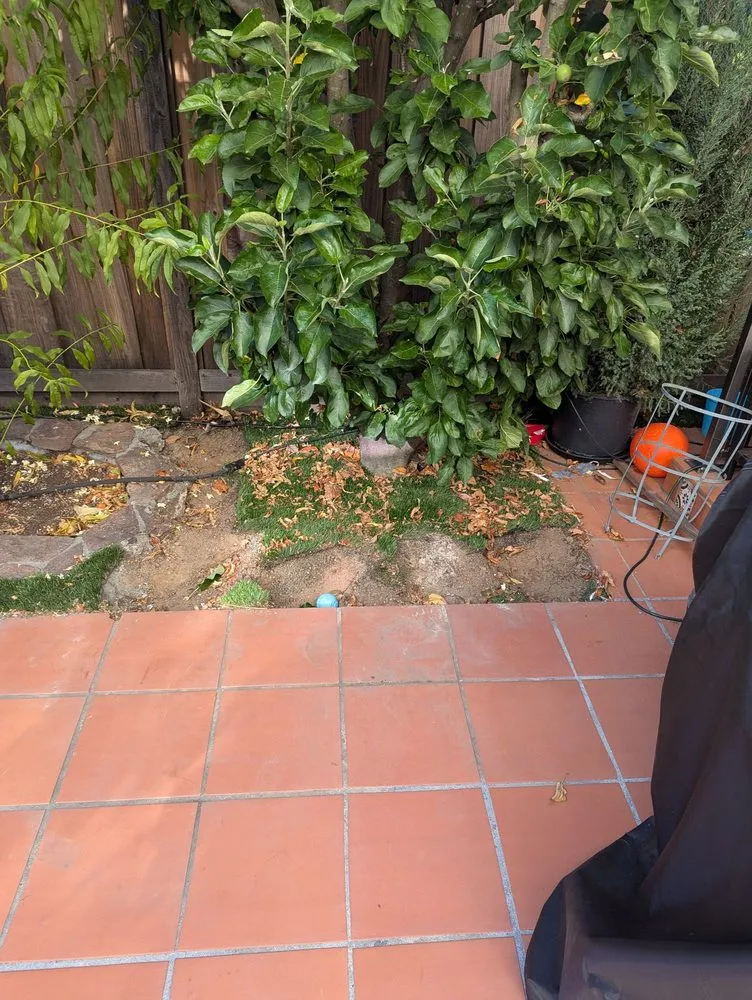 Affordable residential landscaping in Daly City, CA - Nosso Larr Hauling