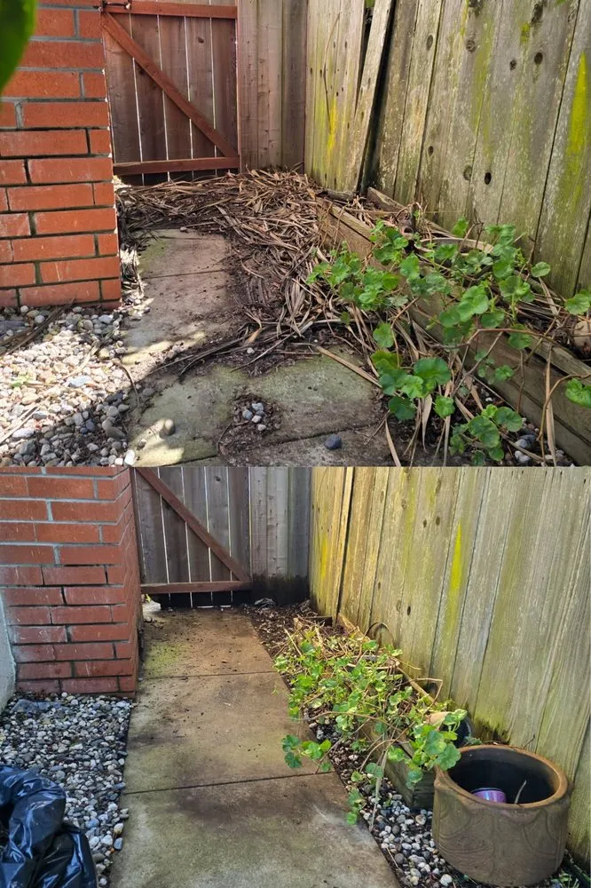 Professional residential landscaping in Daly City, CA - Nosso Larr Hauling