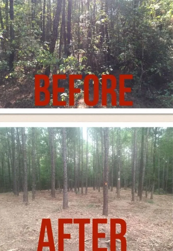 Expert landscape installation for year-round maintenance in Simpsonville, SC by Nostyal LLC