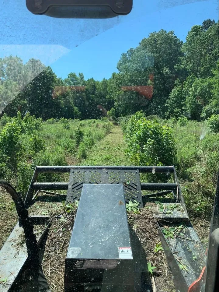 Local landscaping services experts serving Simpsonville, SC - Nostyal LLC