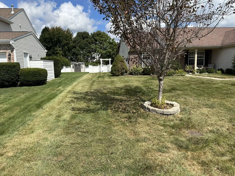Affordable yard maintenance in Avon, IN - Not A Practice Life