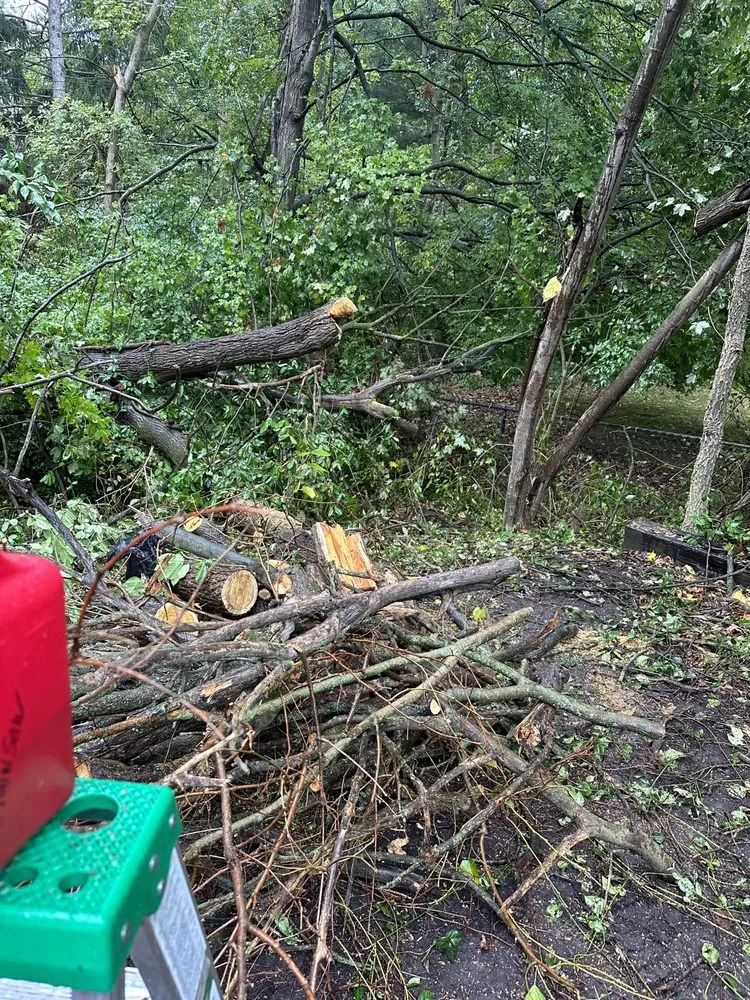 Trusted residential landscaping in Avon, IN - Not A Practice Life