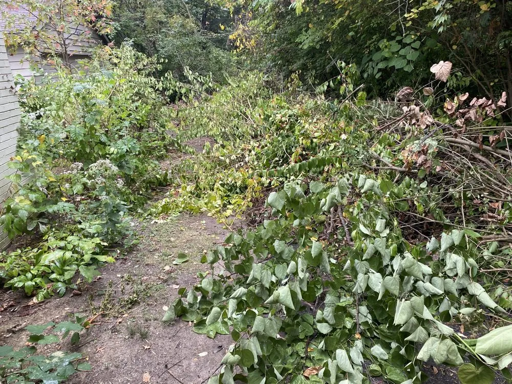 Trusted landscaping services near you across Avon, IN - Not A Practice Life