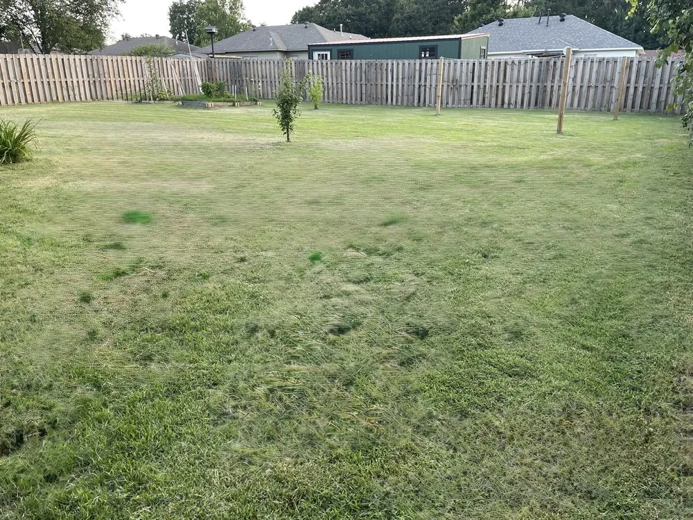 Top-rated landscaping services with custom design in Ward, AR by Not Horsing Around