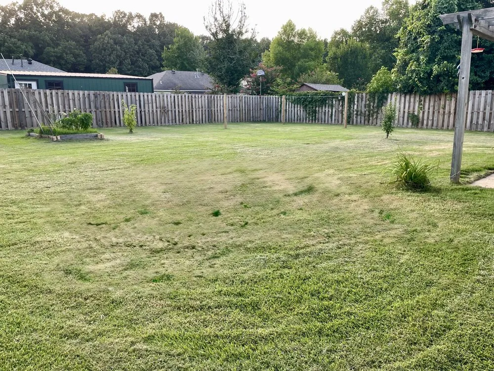 Affordable yard cleanup service in Ward, AR by Not Horsing Around