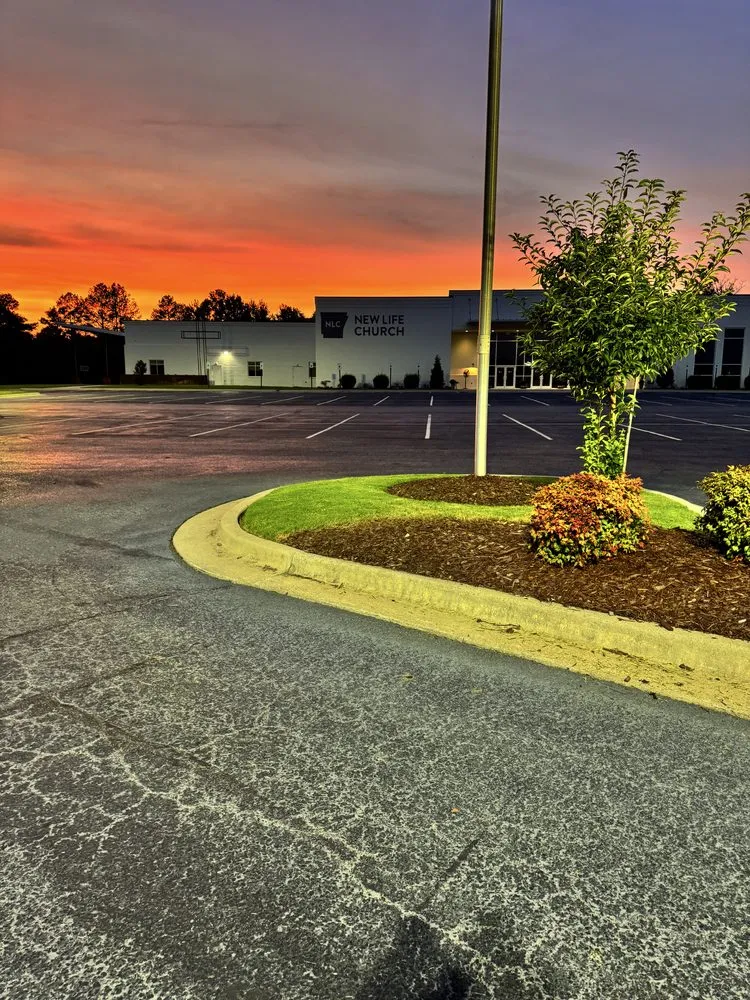 Expert garden landscaping experts serving Ward, AR - Not Horsing Around