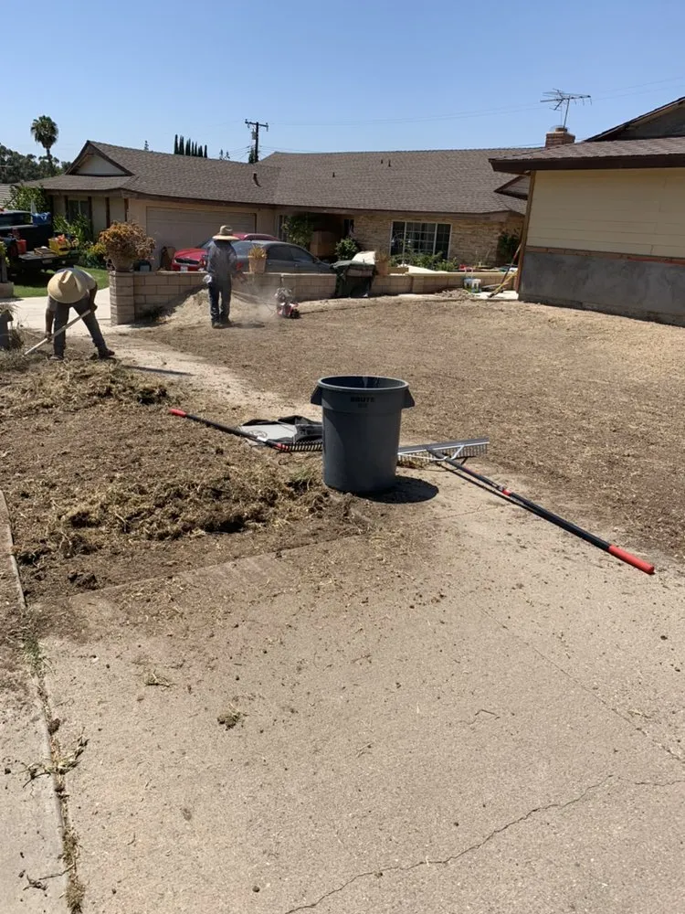 Expert garden landscaping in Riverside, CA - Not Just Another Tree Service