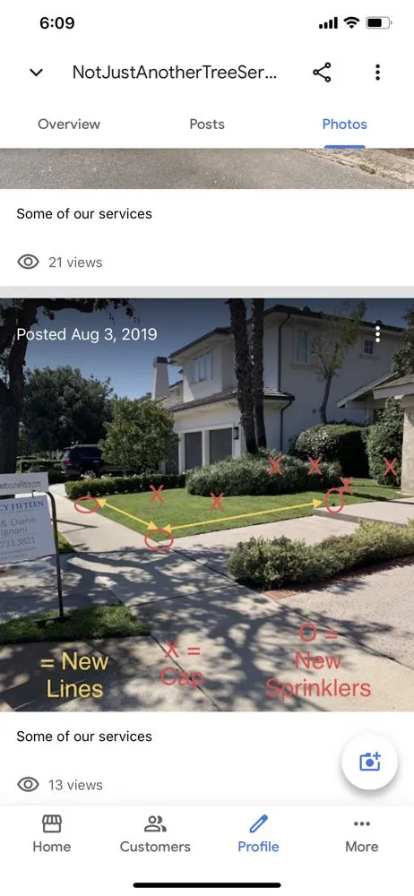 Affordable yard cleanup service for residential properties across Riverside, CA - Not Just Another Tree Service