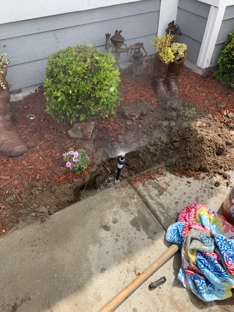 Top-rated garden landscaping with custom design in Riverside, CA by Not Just Another Tree Service