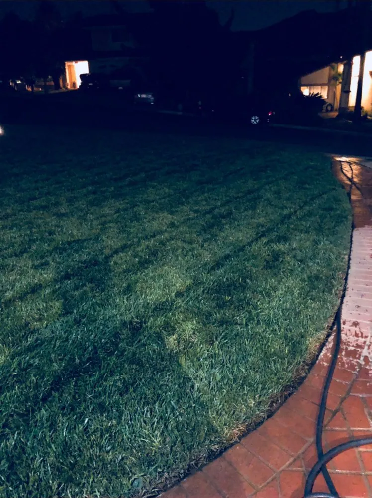 Top-rated landscaping services in Riverside, CA - Not Just Another Tree Service