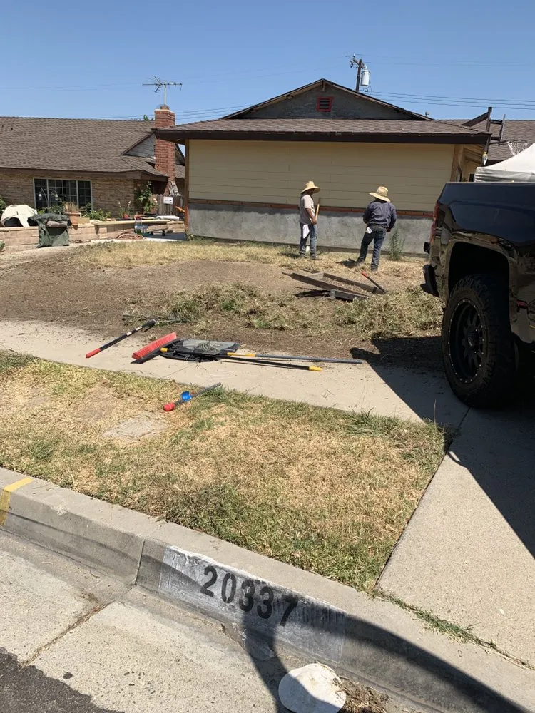 Expert yard cleanup service experts serving Riverside, CA - Not Just Another Tree Service