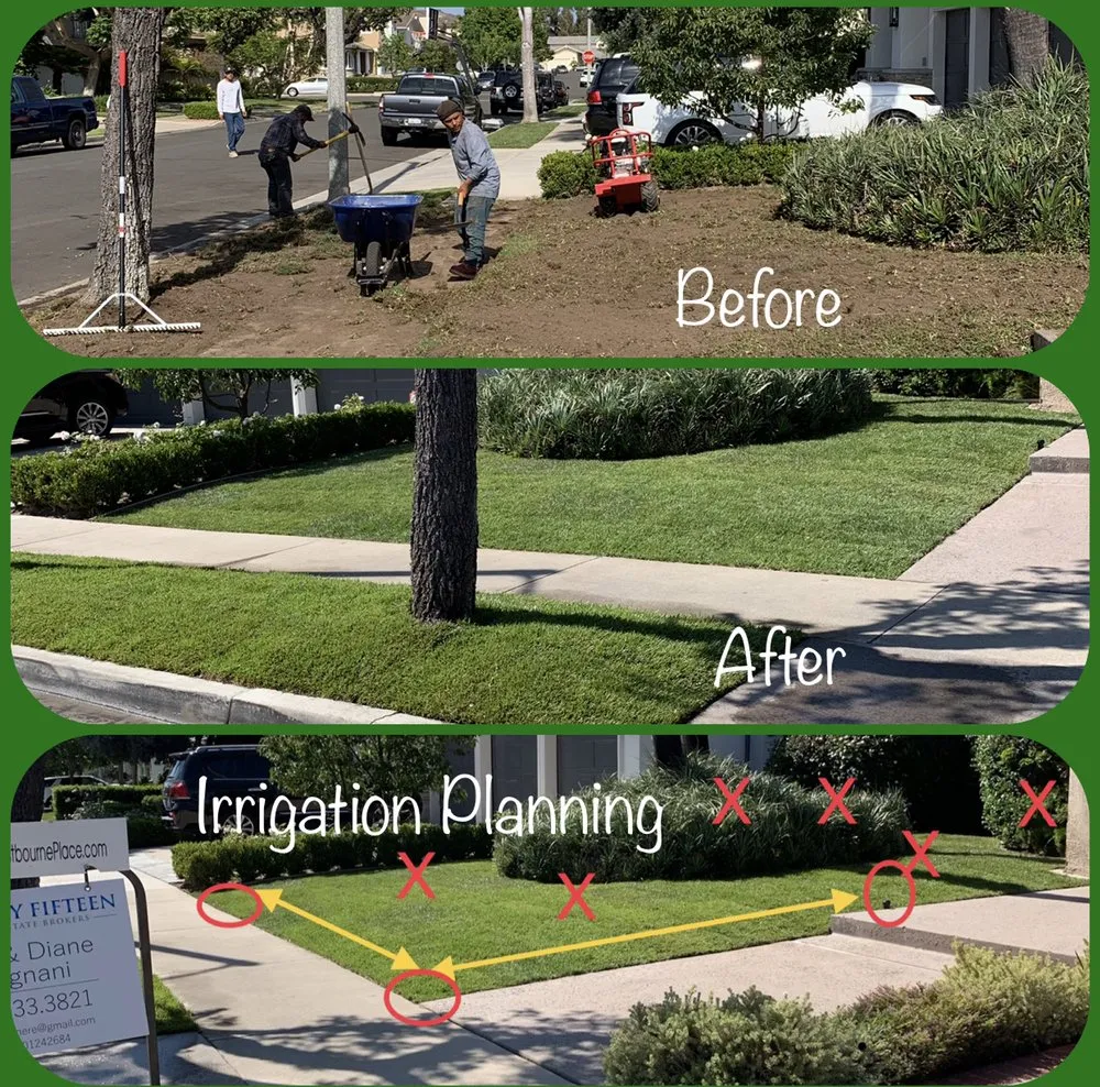 Top-rated residential landscaping near you in Riverside, CA by Not Just Another Tree Service