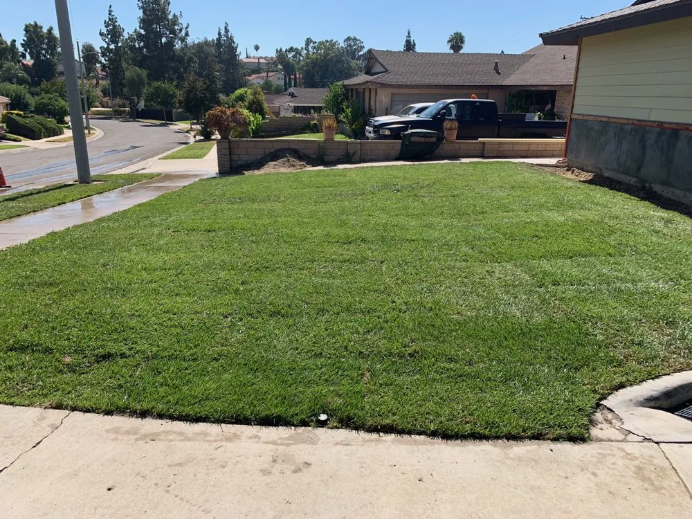 Local yard cleanup service near you across Riverside, CA - Not Just Another Tree Service