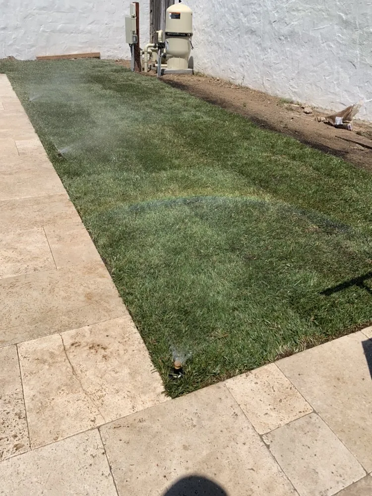 Local outdoor landscaping in Riverside, CA - Not Just Another Tree Service