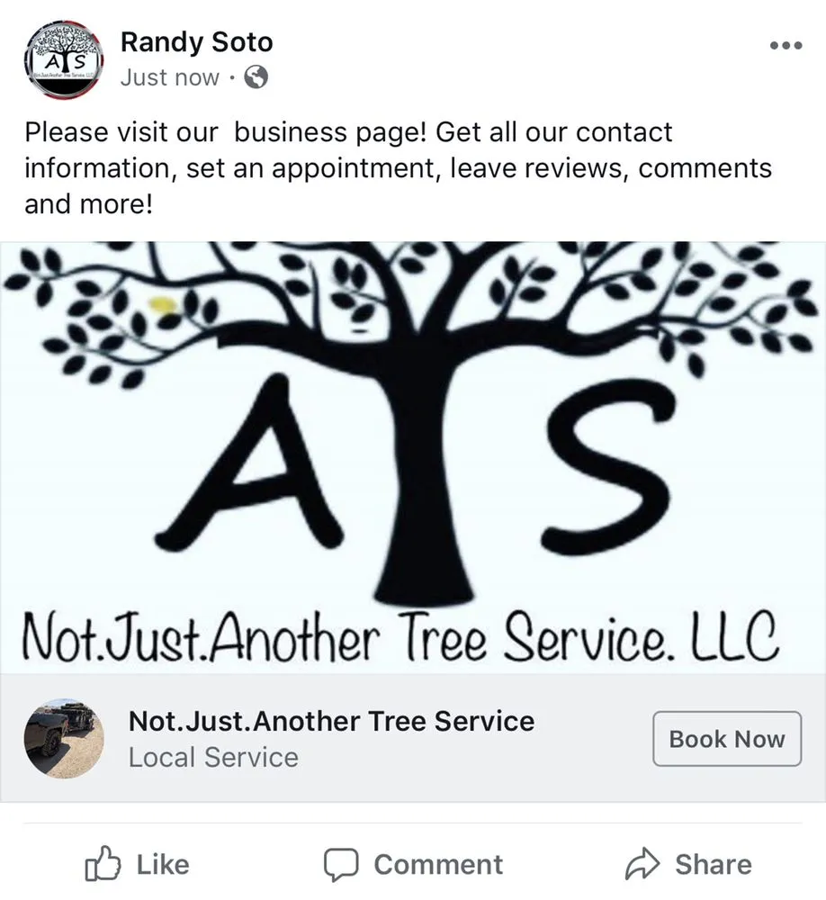 Expert yard cleanup service experts serving Riverside, CA - Not Just Another Tree Service