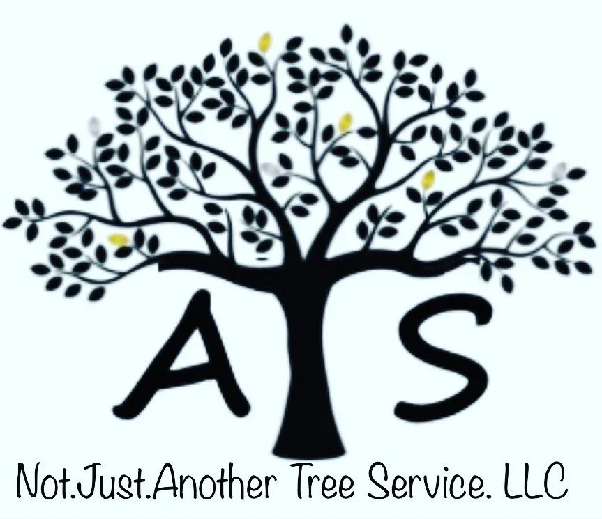 Local lawn care service for residential properties across Riverside, CA - Not Just Another Tree Service
