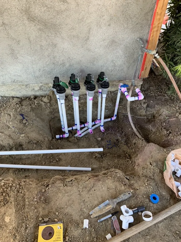 Reliable yard cleanup service near you in Riverside, CA by Not Just Another Tree Service