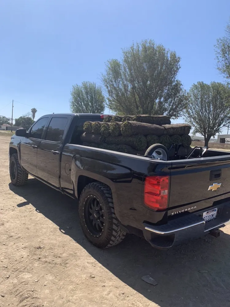 Trusted landscape installation for homes across Riverside, CA - Not Just Another Tree Service