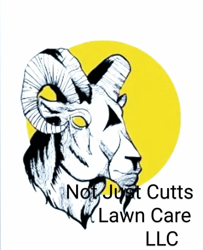 Expert yard cleanup service for beautiful yards across Saint Louis, MO - Not Just Cutts Lawn Care