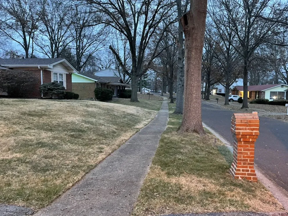 Top-rated yard cleanup service with custom design across Saint Louis, MO - Not Just Cutts Lawn Care