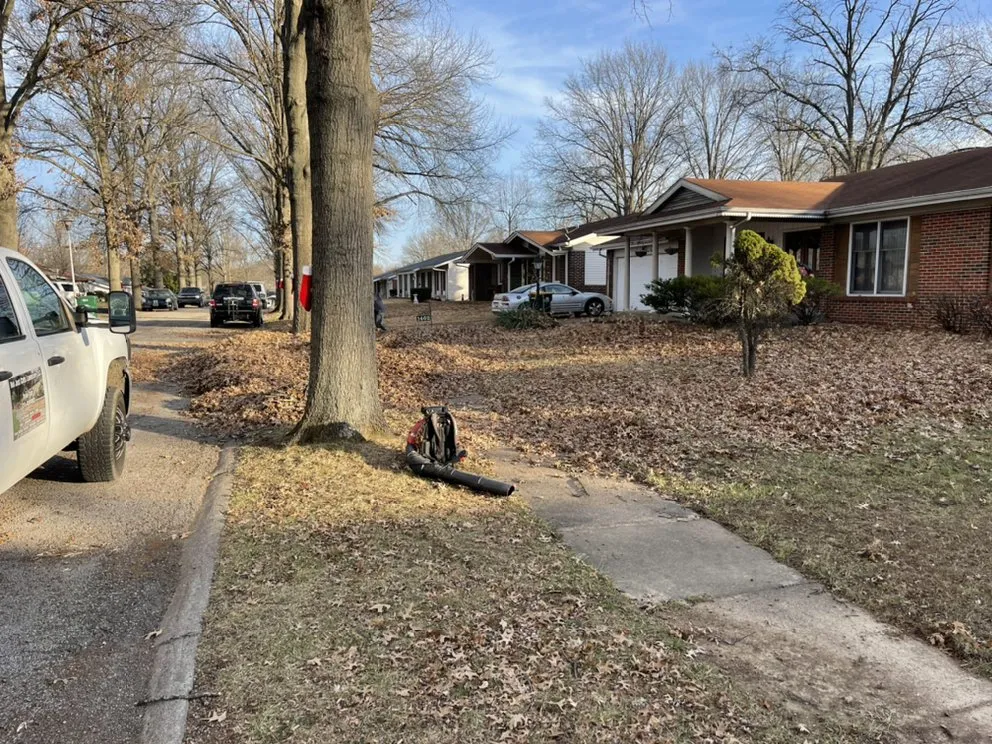 Affordable yard cleanup service experts serving Saint Louis, MO - Not Just Cutts Lawn Care