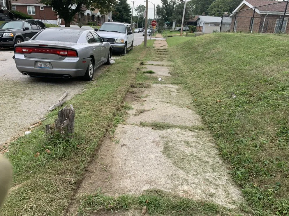 Affordable yard cleanup service experts serving Saint Louis, MO - Not Just Cutts Lawn Care