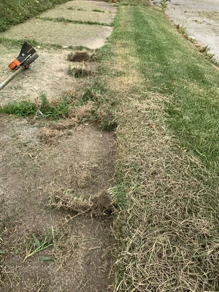 Expert landscape design for homes in Saint Louis, MO by Not Just Cutts Lawn Care