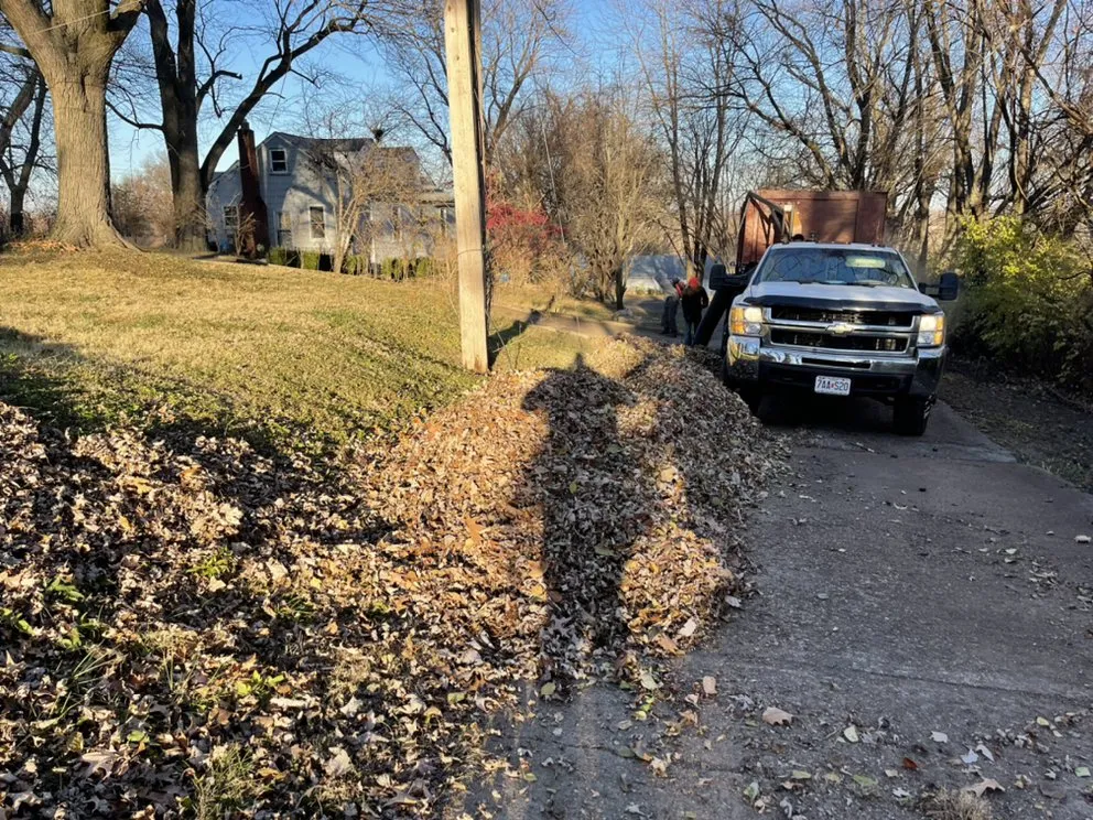 Top-rated yard cleanup service with custom design in Saint Louis, MO by Not Just Cutts Lawn Care