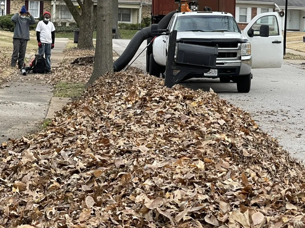 Reliable yard maintenance near you across Saint Louis, MO - Not Just Cutts Lawn Care