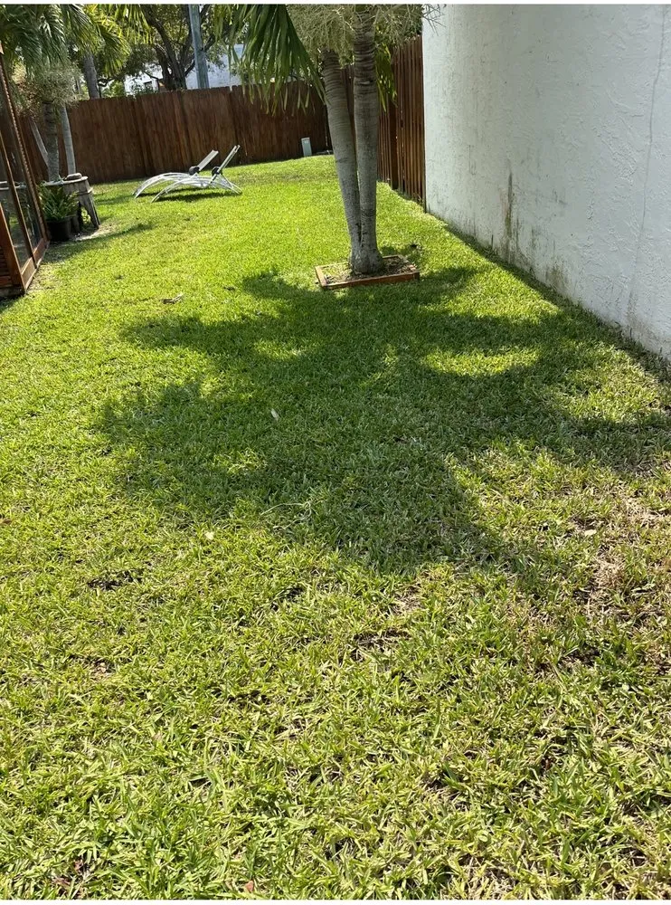Professional yard cleanup service experts serving West Palm Beach, FL - Not Just Grass Lawn Service