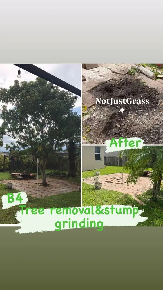 Local landscape installation in West Palm Beach, FL by Not Just Grass Lawn Service