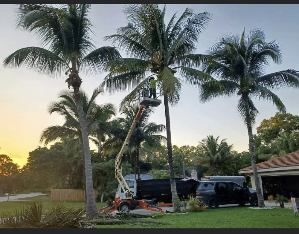 Custom outdoor landscaping in West Palm Beach, FL - Not Just Grass Lawn Service