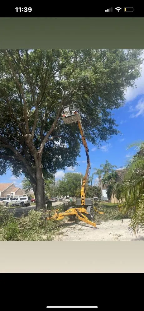 Local yard cleanup service for beautiful yards across West Palm Beach, FL - Not Just Grass Lawn Service