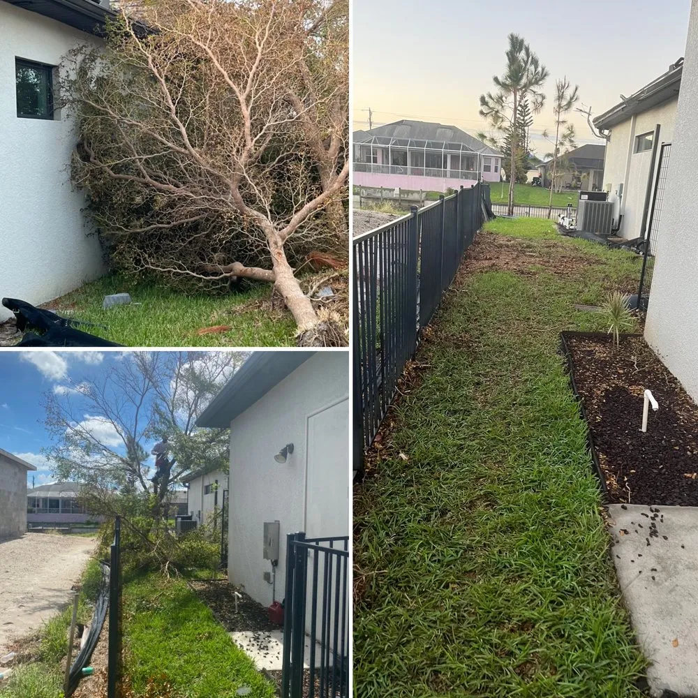 Professional yard cleanup service in West Palm Beach, FL - Not Just Grass Lawn Service