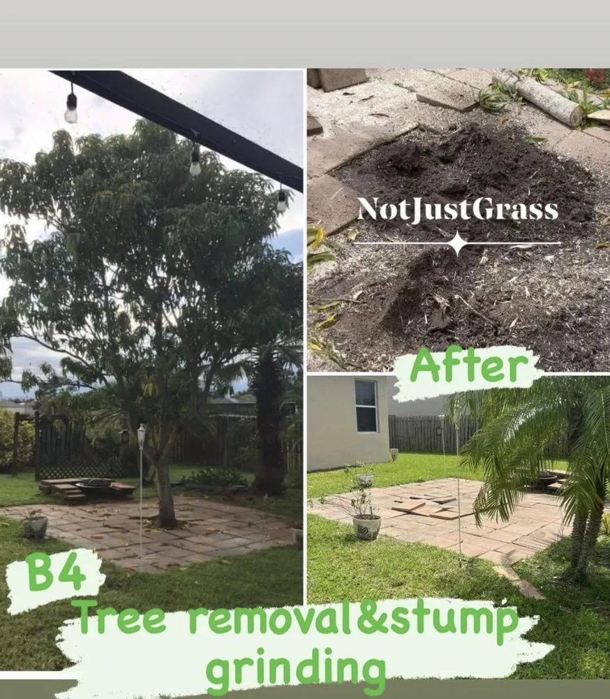 Expert yard cleanup service in West Palm Beach, FL - Not Just Grass Lawn Service