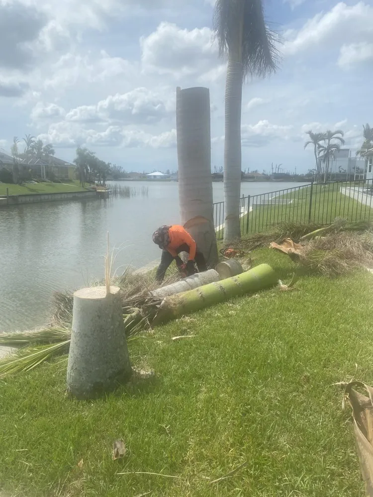 Expert residential landscaping in West Palm Beach, FL by Not Just Grass Lawn Service