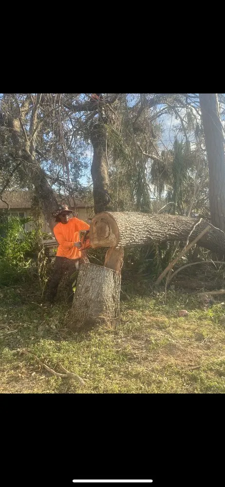 Affordable landscaping services experts serving West Palm Beach, FL - Not Just Grass Lawn Service