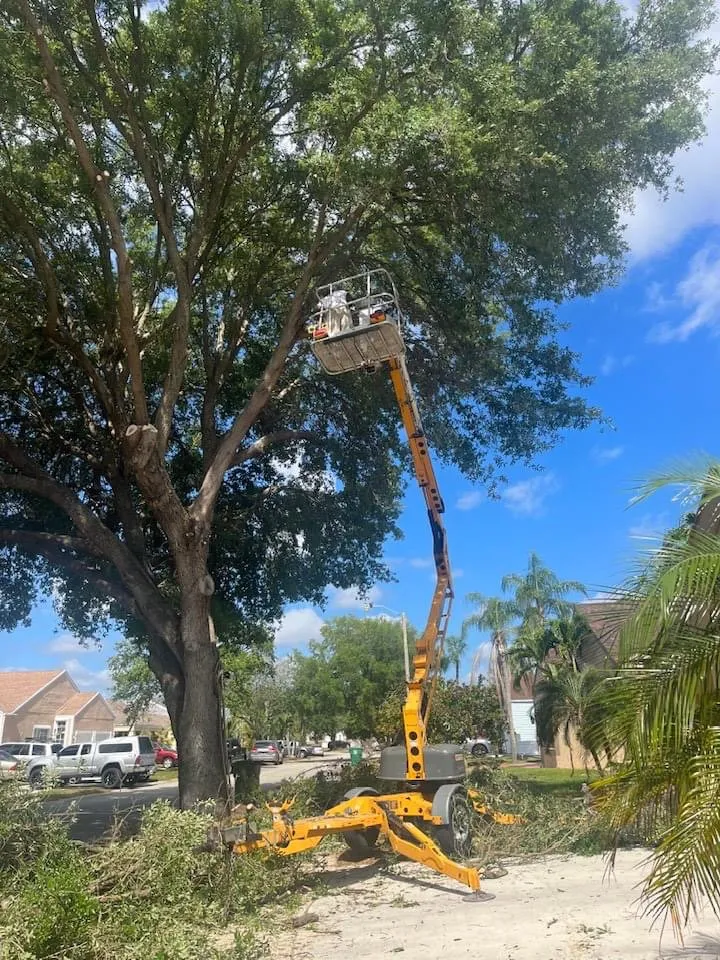 Affordable garden landscaping in West Palm Beach, FL by Not Just Grass Lawn Service