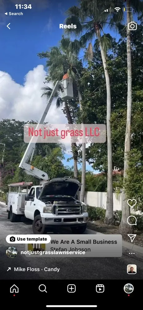 Trusted landscape design in West Palm Beach, FL - Not Just Grass Lawn Service