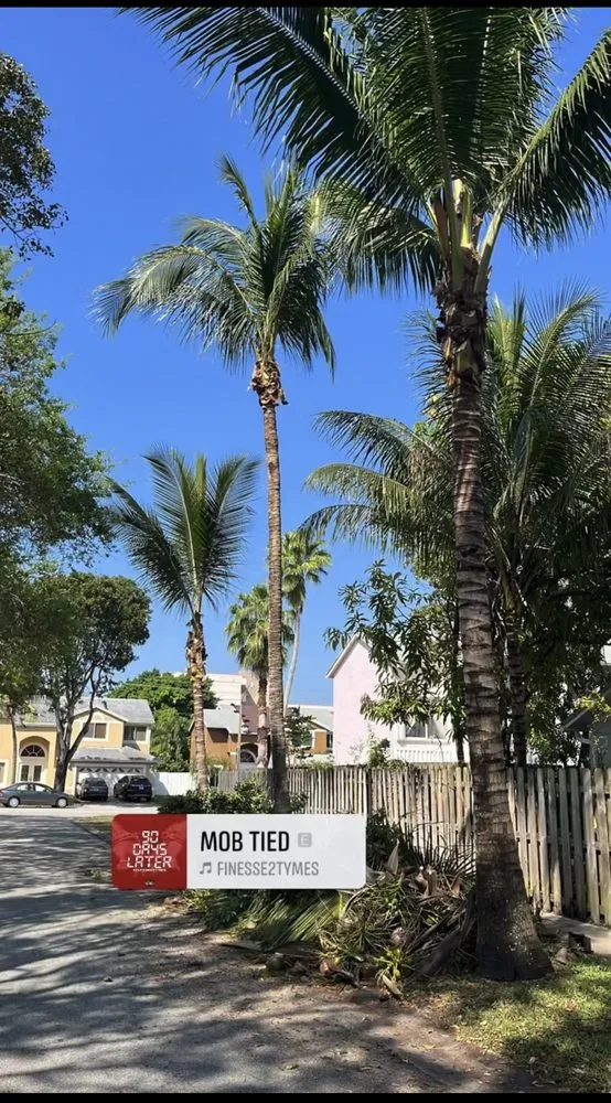 Local yard maintenance for residential properties across West Palm Beach, FL - Not Just Grass Lawn Service