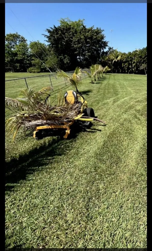 Reliable residential landscaping for beautiful yards in West Palm Beach, FL by Not Just Grass Lawn Service