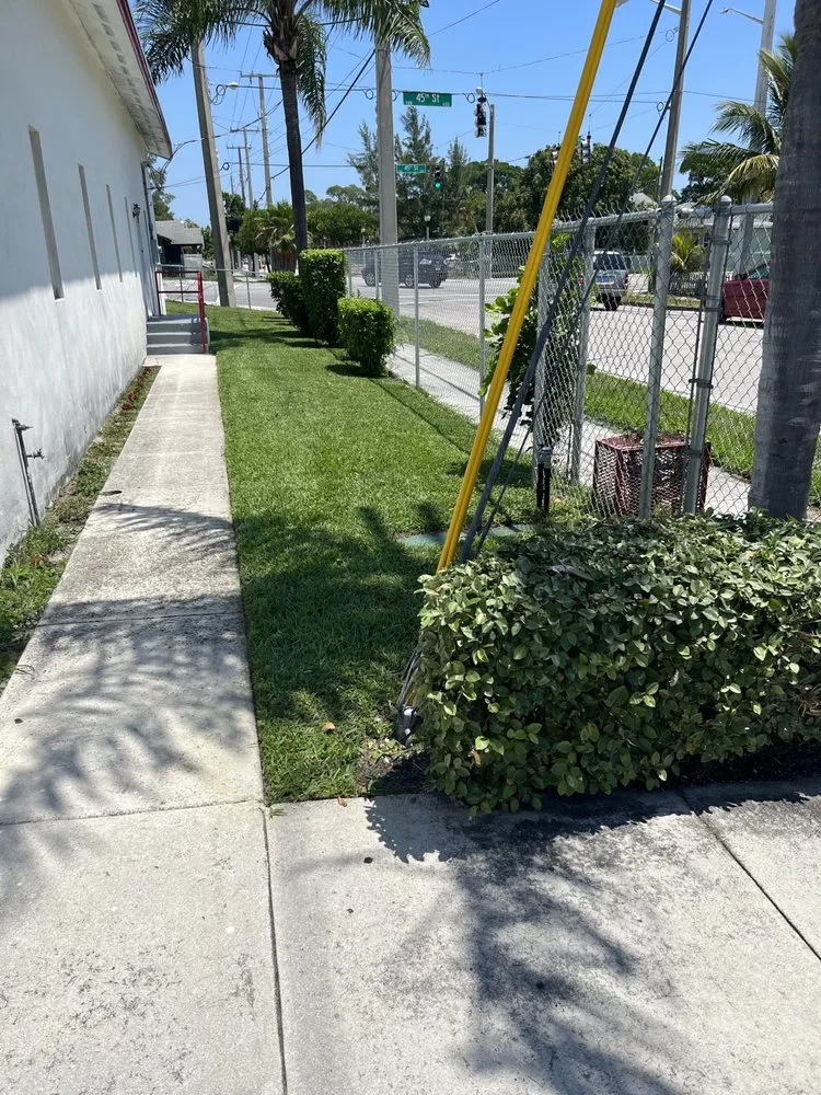 Affordable landscape design for residential properties in West Palm Beach, FL by Not Just Grass Lawn Service