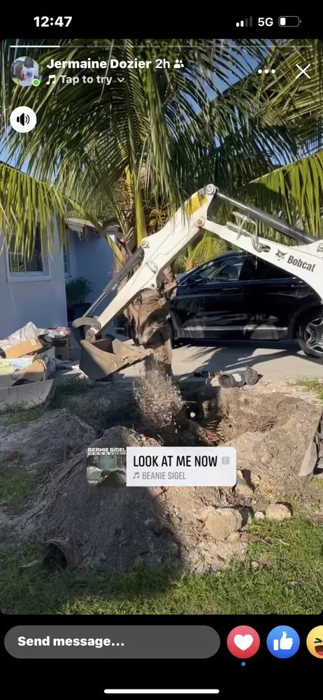 Reliable outdoor landscaping experts serving West Palm Beach, FL - Not Just Grass Lawn Service