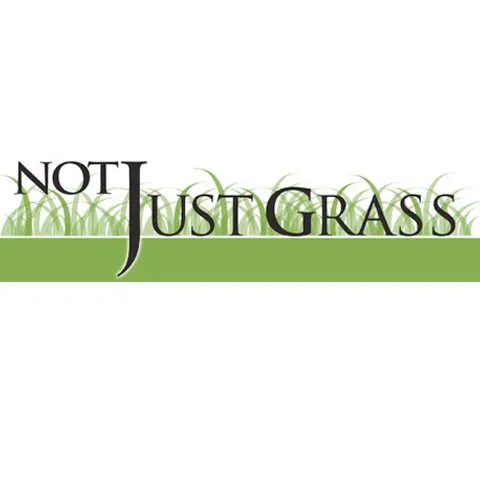 Professional outdoor landscaping in Sugar Grove, IL by Not Just Grass
